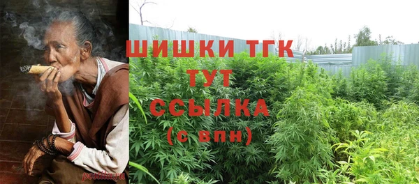 сатива Нефтекумск