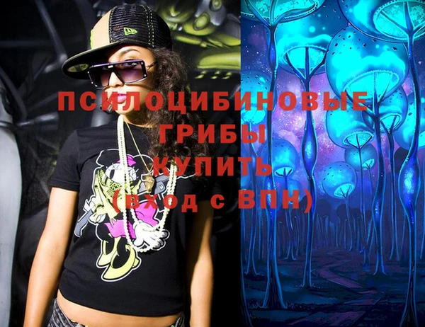 PSILOCYBIN Алексин