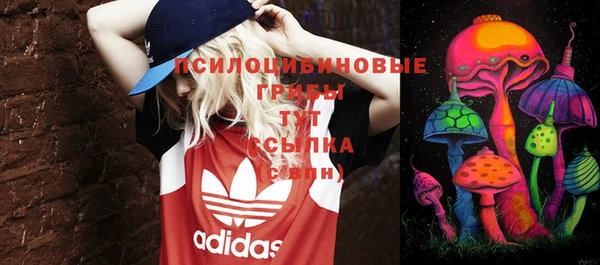 PSILOCYBIN Алексин