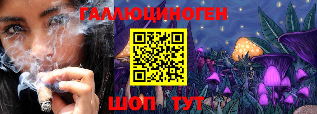 Псилоцибиновые грибы мицелий  Галлюциногенные грибы Psilocybe  Йошкар-Ола  Вход с VPN 